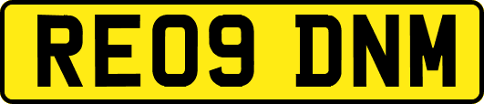 RE09DNM
