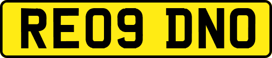 RE09DNO