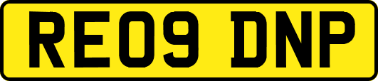 RE09DNP