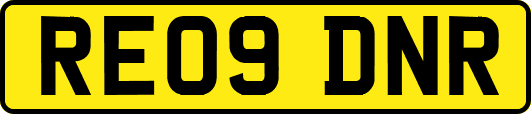 RE09DNR