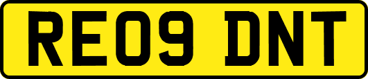 RE09DNT