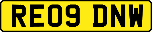 RE09DNW