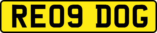 RE09DOG