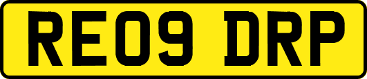 RE09DRP