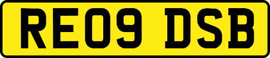 RE09DSB