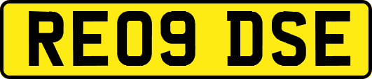 RE09DSE