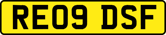RE09DSF