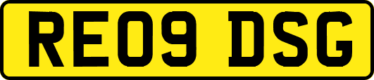 RE09DSG