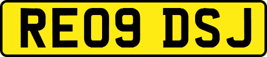 RE09DSJ