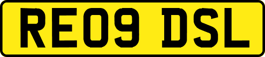 RE09DSL