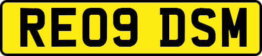 RE09DSM
