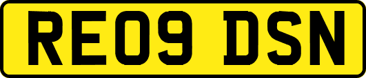 RE09DSN
