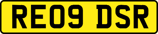 RE09DSR