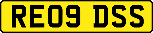RE09DSS
