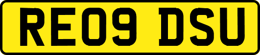 RE09DSU