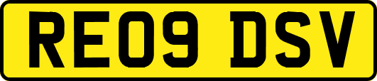 RE09DSV
