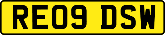 RE09DSW