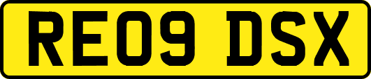 RE09DSX