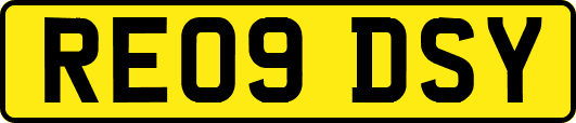 RE09DSY