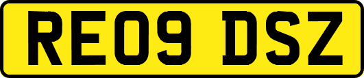 RE09DSZ