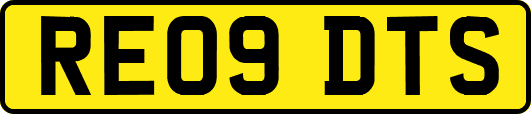RE09DTS