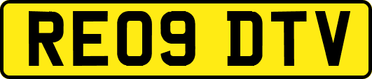 RE09DTV