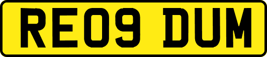 RE09DUM