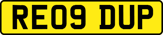 RE09DUP