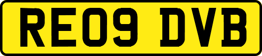 RE09DVB