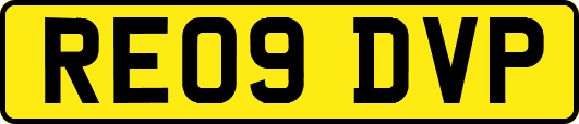 RE09DVP