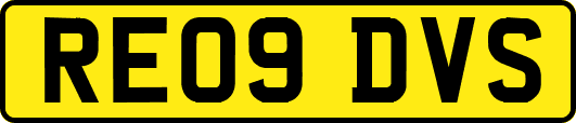 RE09DVS
