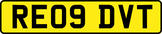 RE09DVT