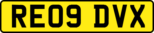 RE09DVX