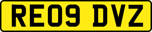 RE09DVZ