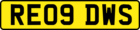 RE09DWS