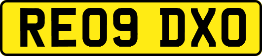 RE09DXO