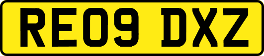 RE09DXZ