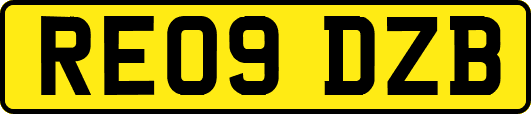 RE09DZB