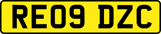 RE09DZC