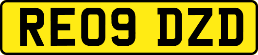 RE09DZD