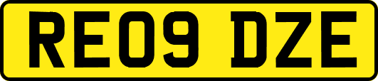 RE09DZE