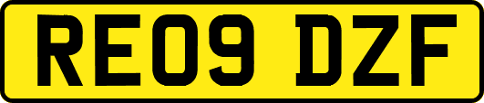 RE09DZF