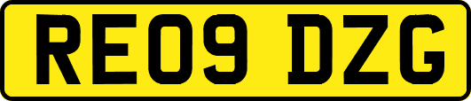 RE09DZG