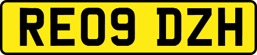 RE09DZH