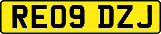 RE09DZJ
