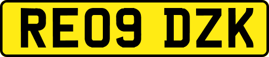 RE09DZK
