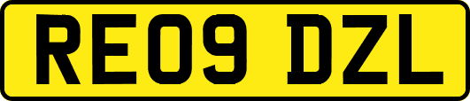 RE09DZL