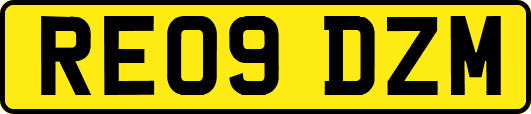 RE09DZM