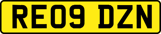 RE09DZN