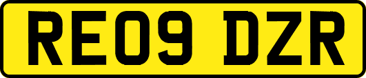 RE09DZR